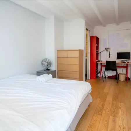 Appartement Cabana & Le Grand Duplex Proche Esplanade *