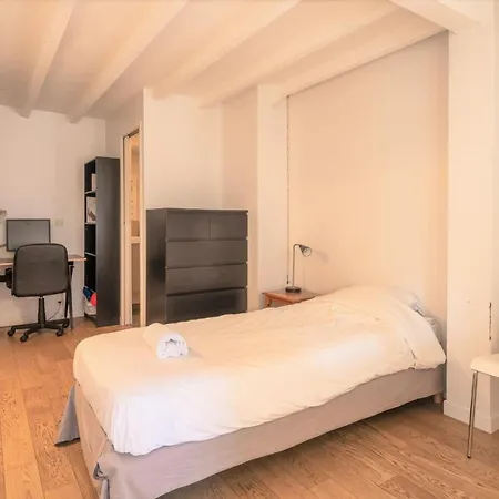 Cabana & Le Grand Duplex Proche Esplanade Apartment Annecy